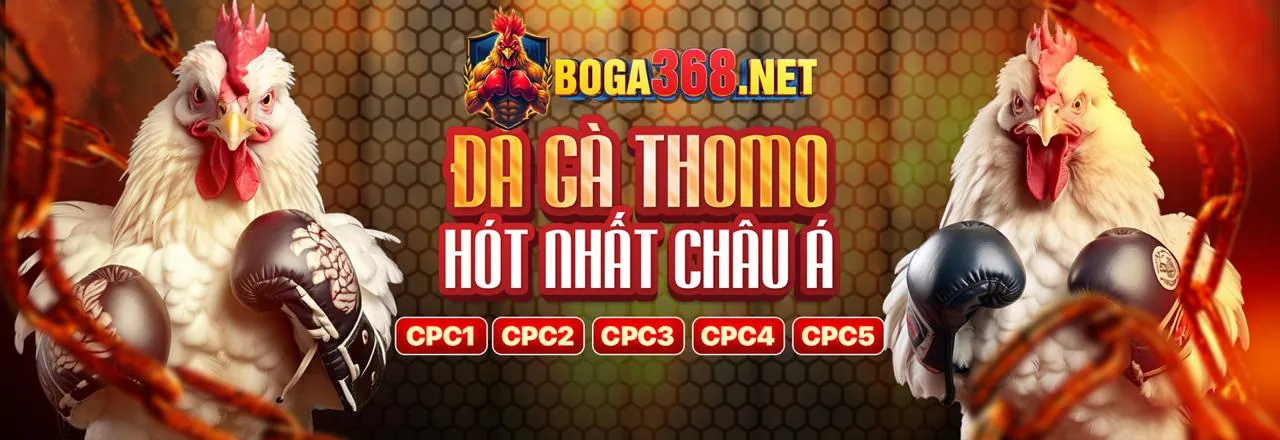 Tin tức và ưu đãi mới nhất từ ok789 code